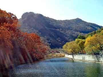 管家婆免费正版资起大全，股市论坛